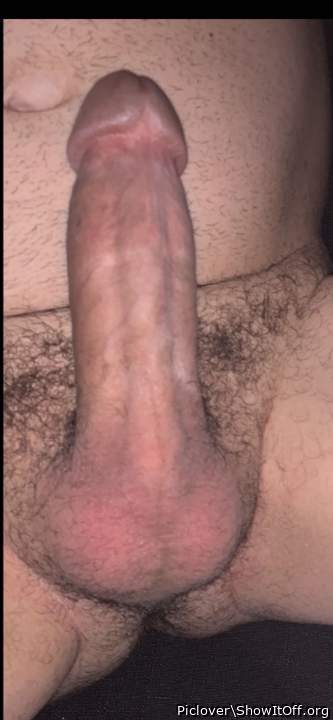 Photo of a penile from Piclover