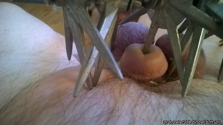 donny rhine naked and exposed