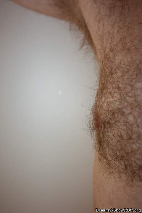 Photo of a dong from Dreamy