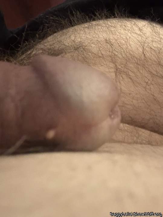 Photo of a weasel from Saggyballs