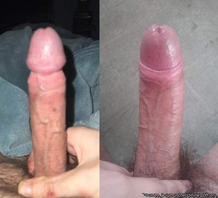 Photo of a horn from *Humpy_Rugmuncher