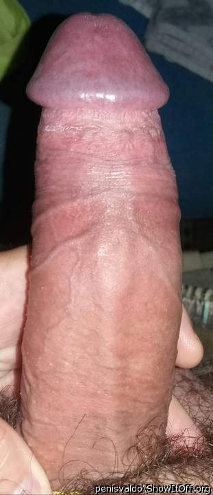 Boy's dick growing new old