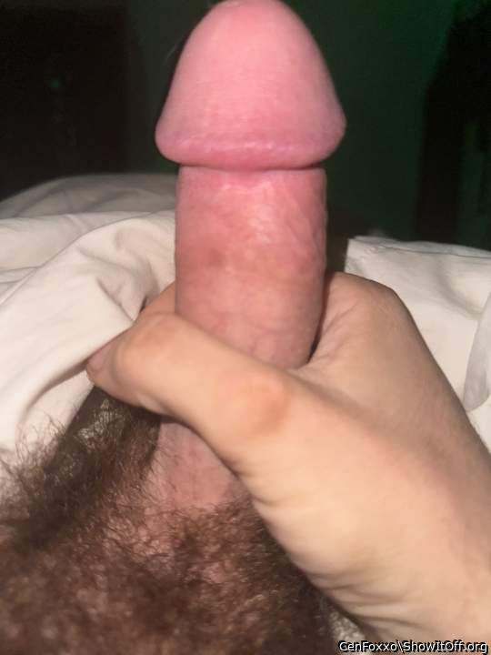 Photo of a stiffie from CenFoxxo