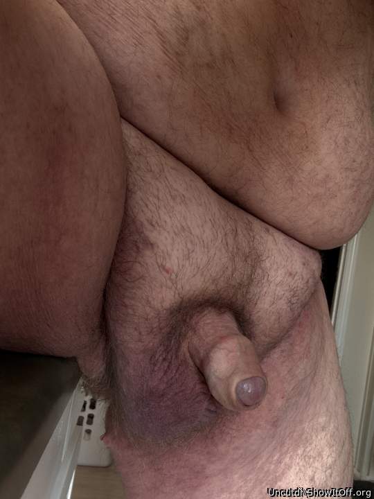 Photo of a middle leg from Uncutdi