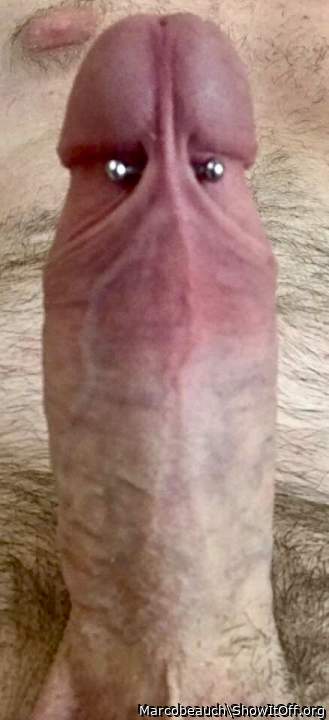Photo of a penile from Marcobeauch