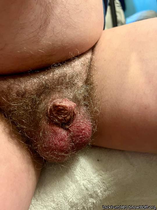 sweet hairy dick and balls 
