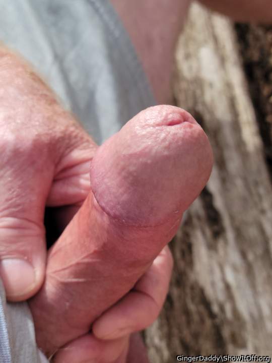 Photo of a third leg from GingerDaddy