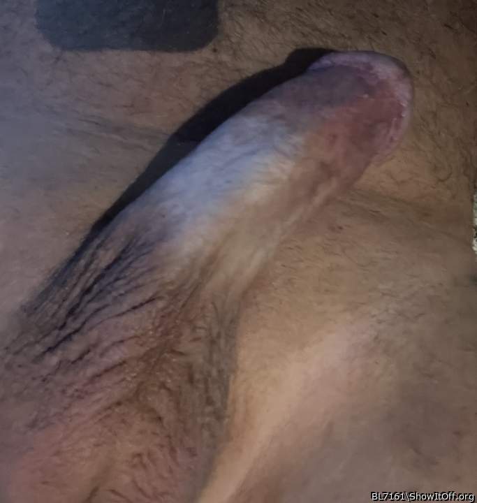 Photo of a stiffie from BL7161