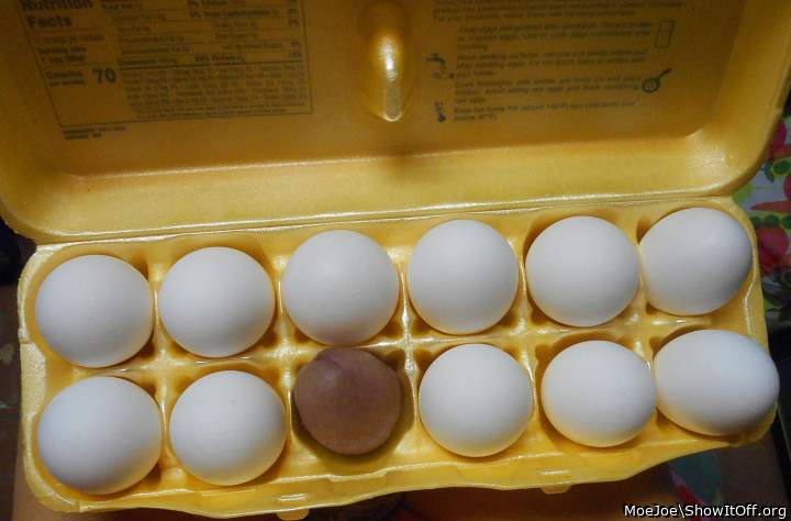 Eggs for Breakfast ?