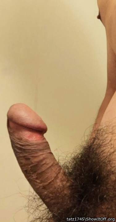 Photo of a thing from tatz1745