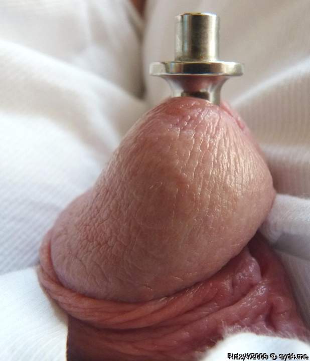 Urethra pacifier