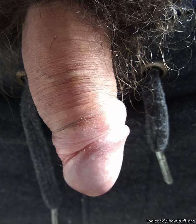 Photo of a phallus from Logicock