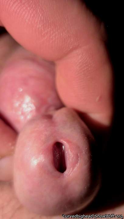 Photo of a phallus from Curvedbighead