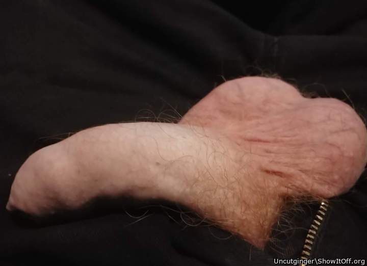 Photo of a cock from Uncutginger
