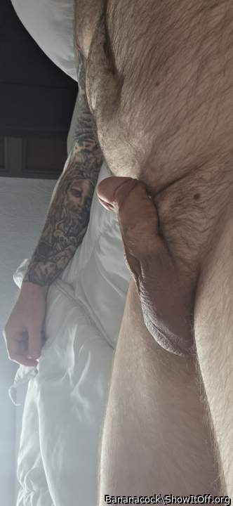 Photo of a cavalier from Bananacock