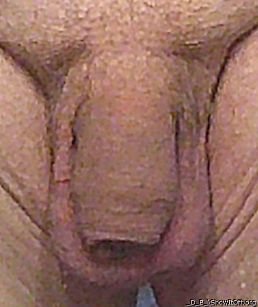 My Cock Front