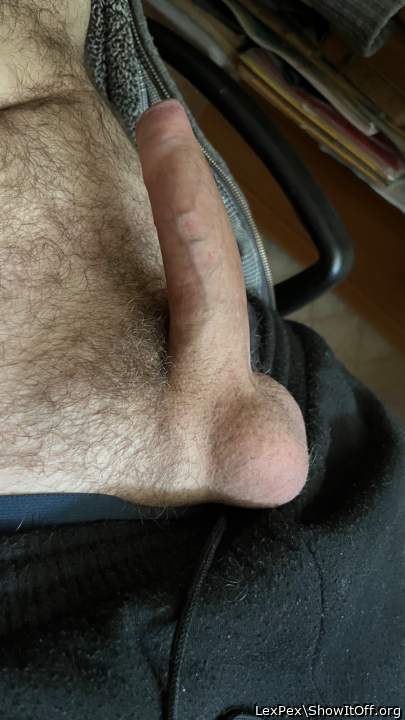Photo of a horn from LexPex