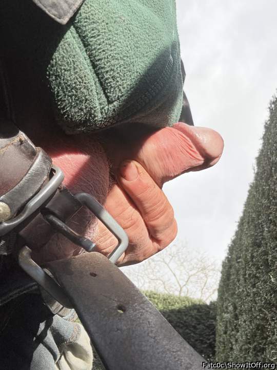 Photo of a cavalier from Fatc0c