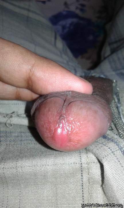 Photo of a cock from jac114