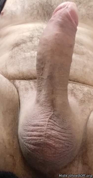 Photo of a lizard from Midik