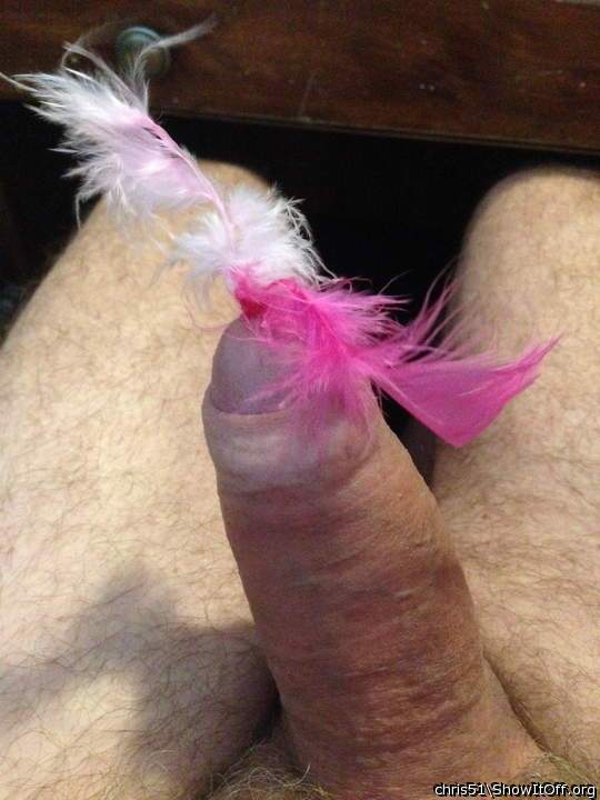 Wife said "stick a feather in it" so I did