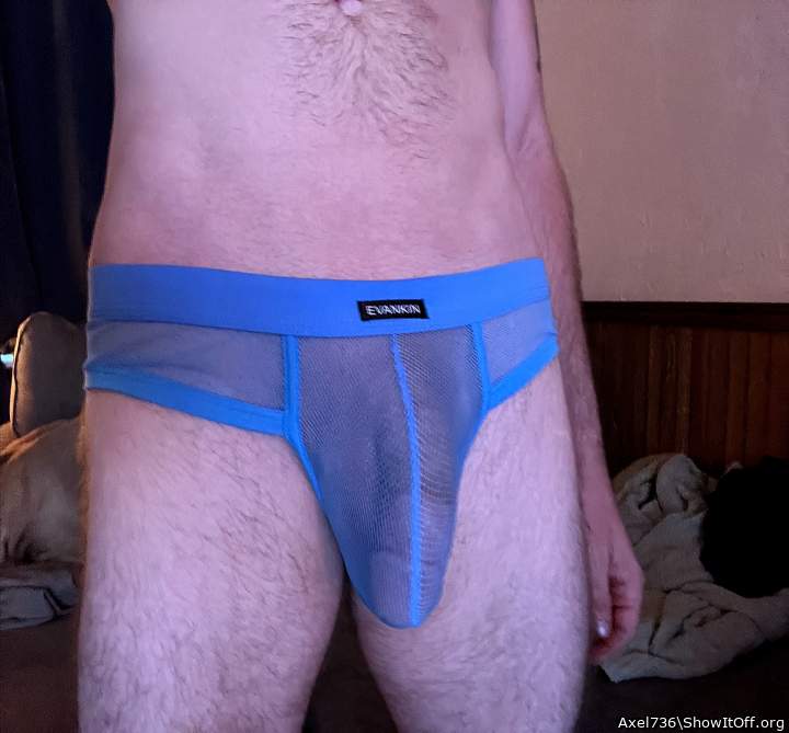 Photo of a schlong from Axel736