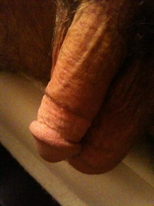 Photo of a horn from bdguy