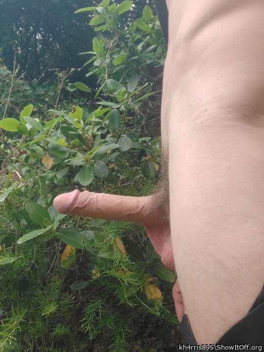 Photo of a shaft from kh4rris895