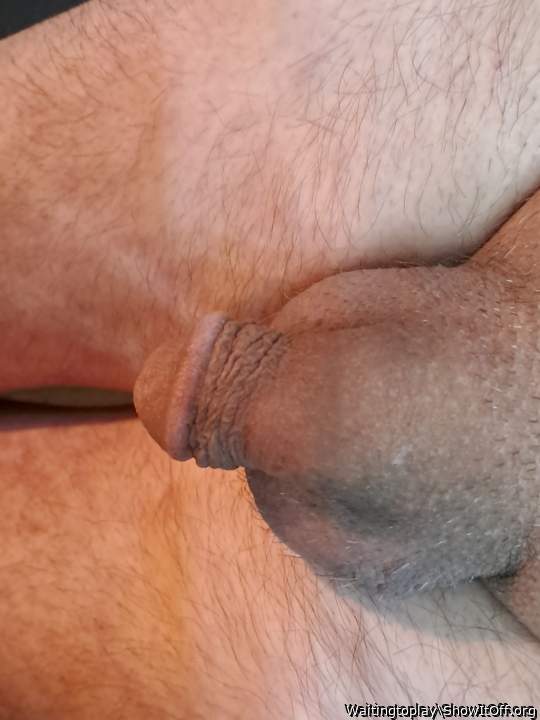 Photo of a pecker from Waitingtoplay