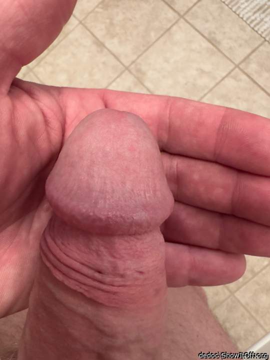 Cock