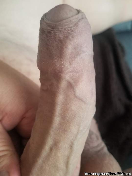 Hot veiny cock and foreskin