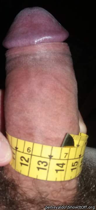 Thick dick 5.5 inches  circumference