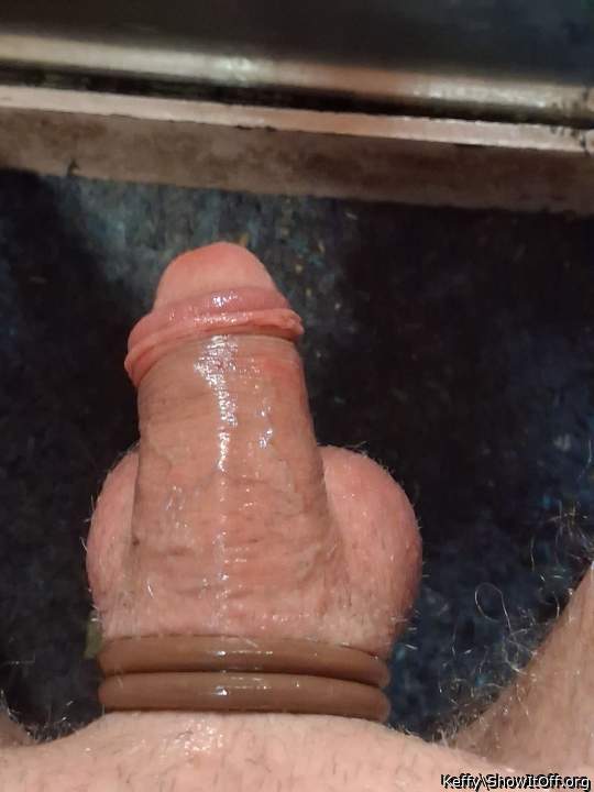 Photo of a python from Keffy
