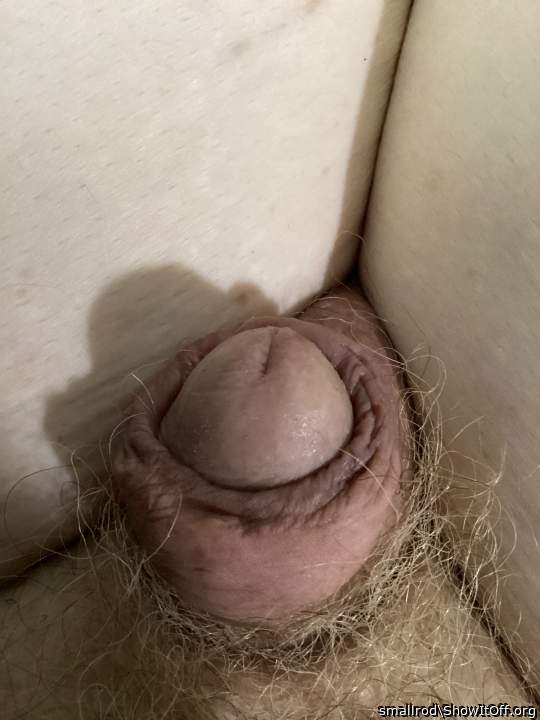 Photo of a purple headed monster from smallrod