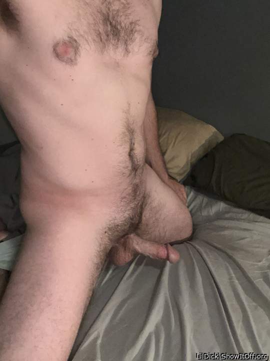 Photo of a rooster from LilDick