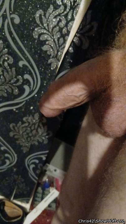 Photo of a boner from Chris42