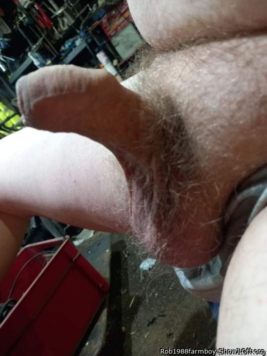 Photo of a cock from Rob1988farmboy