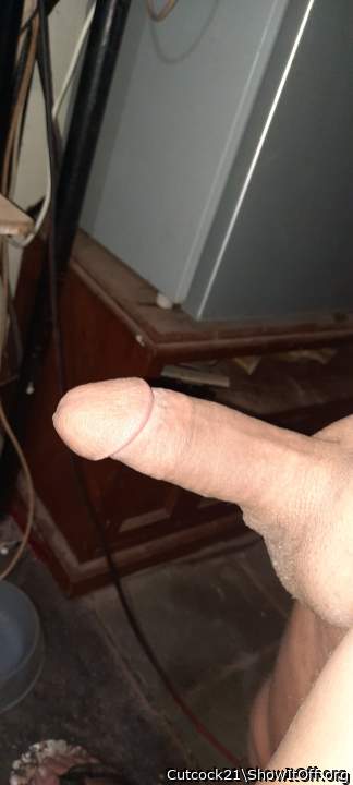 Photo of a private part from Cutcock21