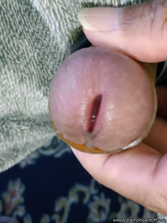 Photo of a dong from edwardren