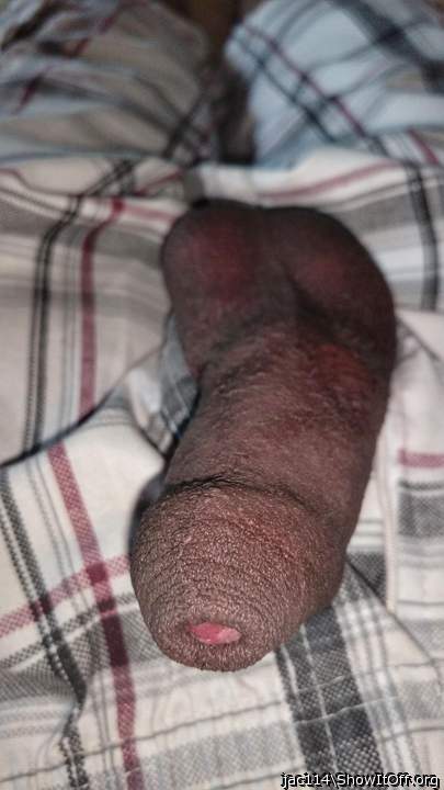 Very nice cock  