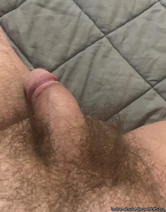Photo of a boner from IndianaDude