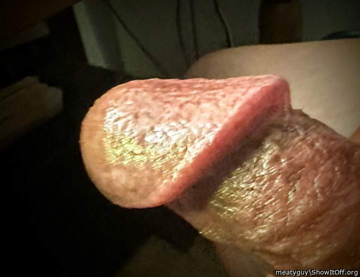 Photo of a cavalier from meatyguy