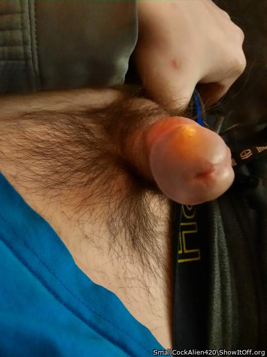 Photo of a penile from SmallCockAlien420