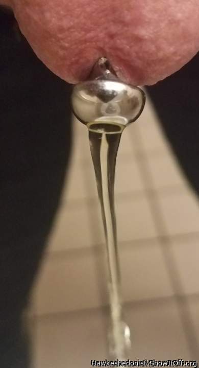 Photo of a dong from Hawkeshedonist