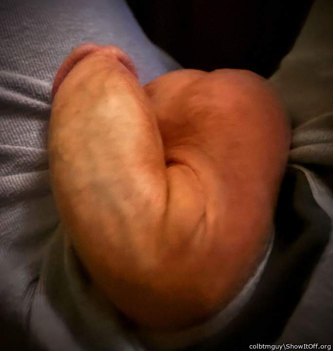 Photo of a python from colbtmguy