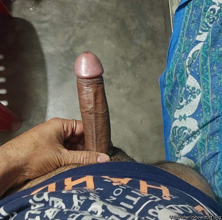 Photo of a rooster from samfisher