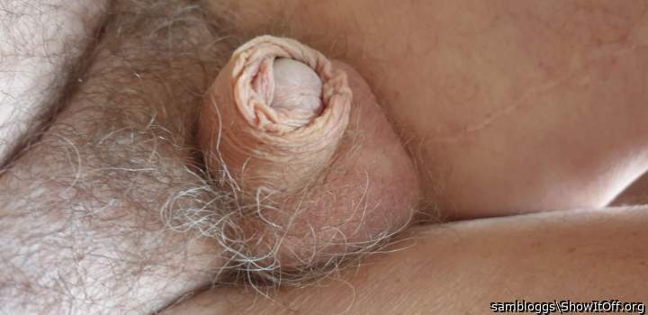 Photo of a bat from sambloggs