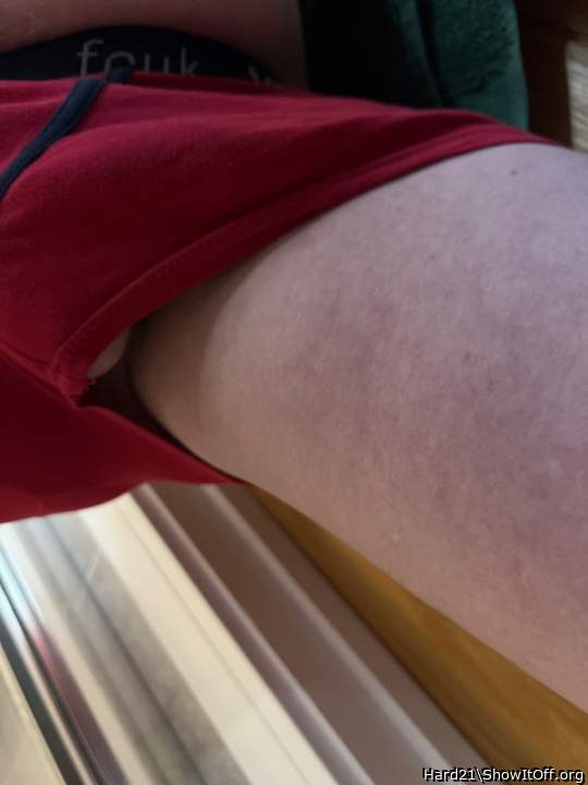 Photo of a middle leg from Hard21