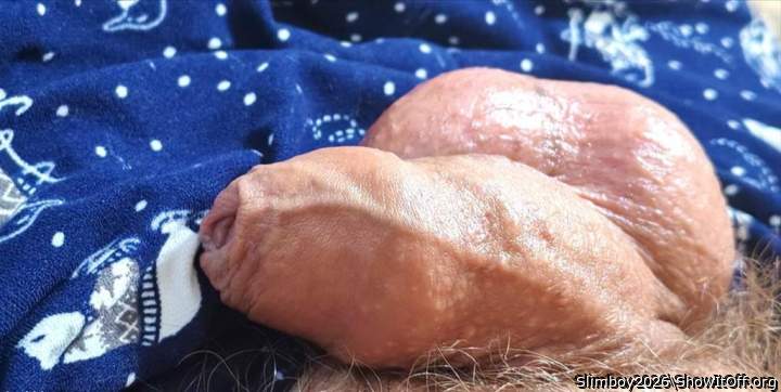 Photo of a weasel from Slimboy2026
