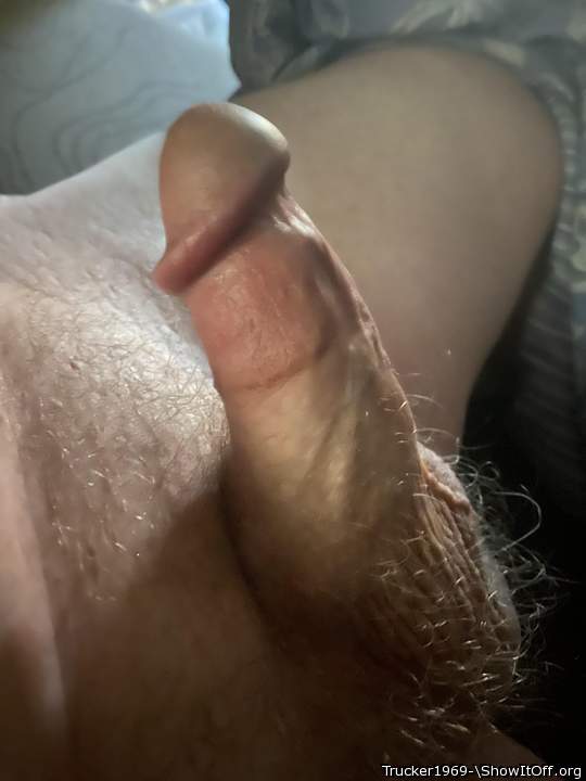 Delicious hard dick, sexy fuzzy balls...HOT stuff!!   